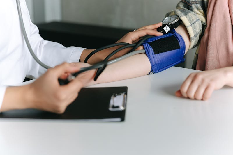 Anatomski model ljudskog srca sa prikazom komora i krvnih sudova