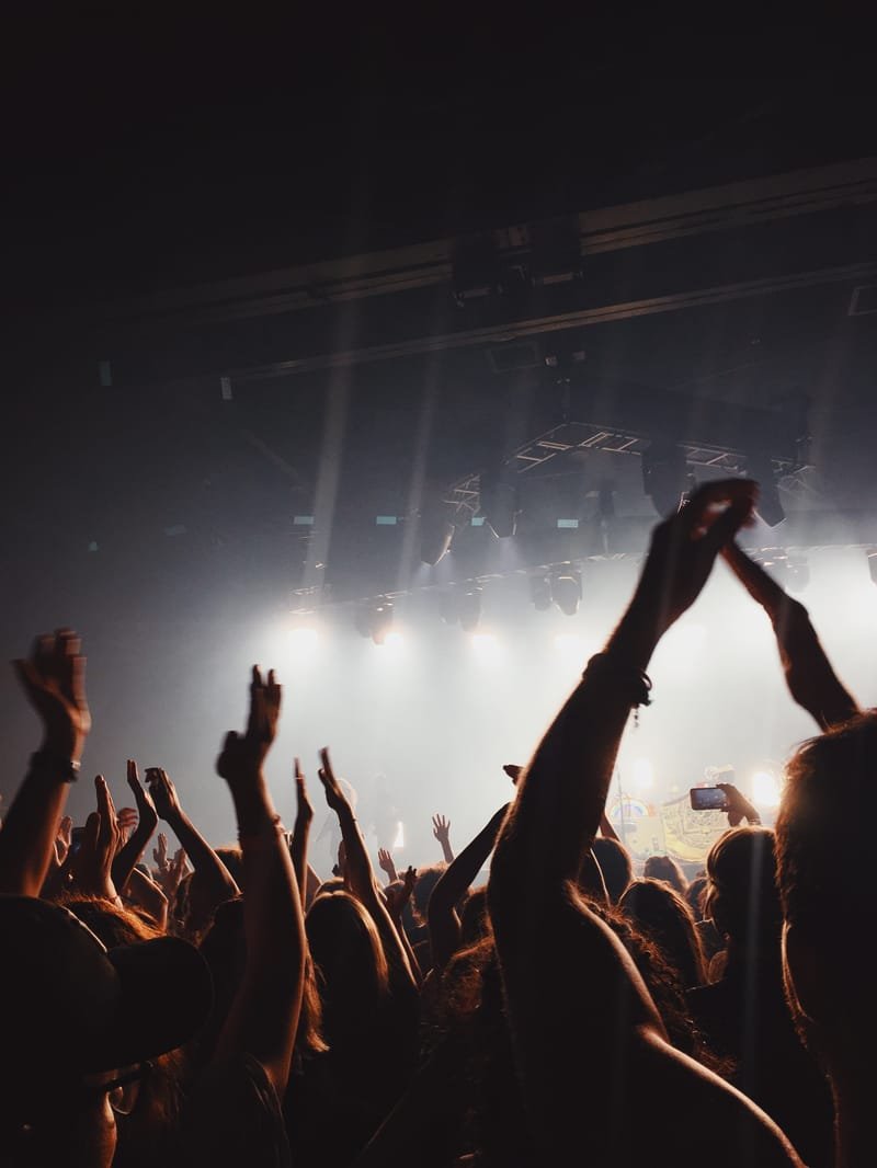 Publika na muzičkom festivalu, uticaj muzike na kulturu