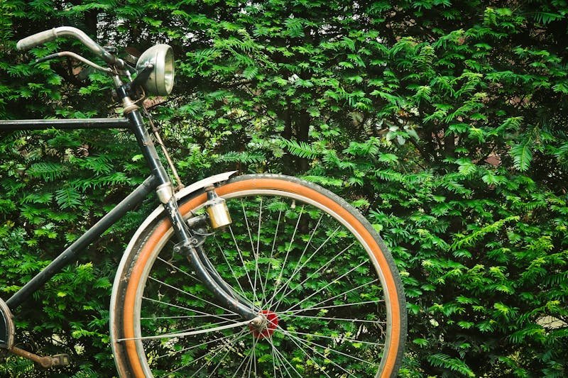 Istorijat biciklizma: Od drvenih guralica do trke Tour de France
